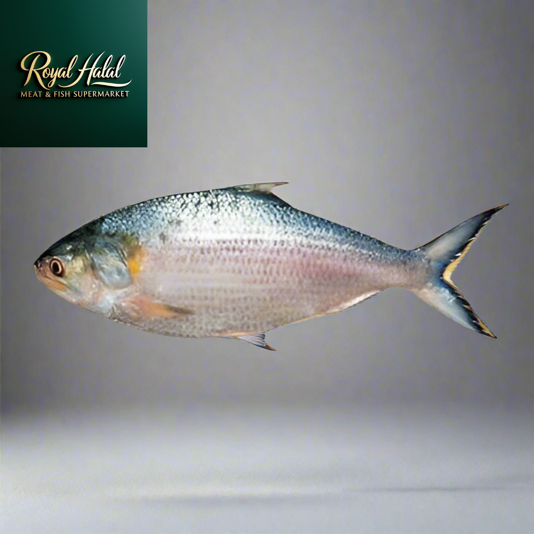 Royal Chandpur Hilsa Fish Regular Cut $19.99/lbs