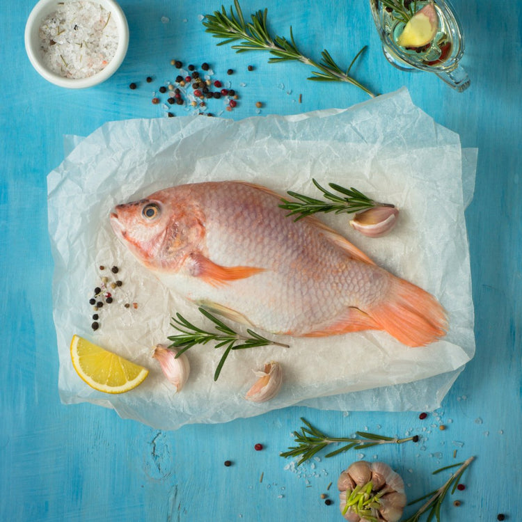 Fresh Fishes