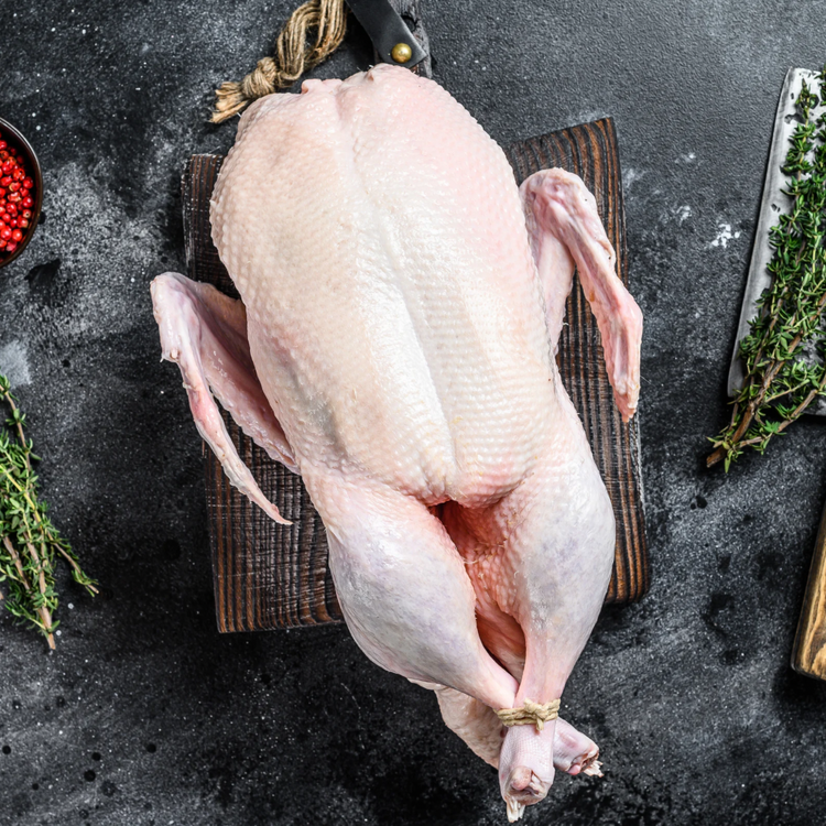 Duck Meat