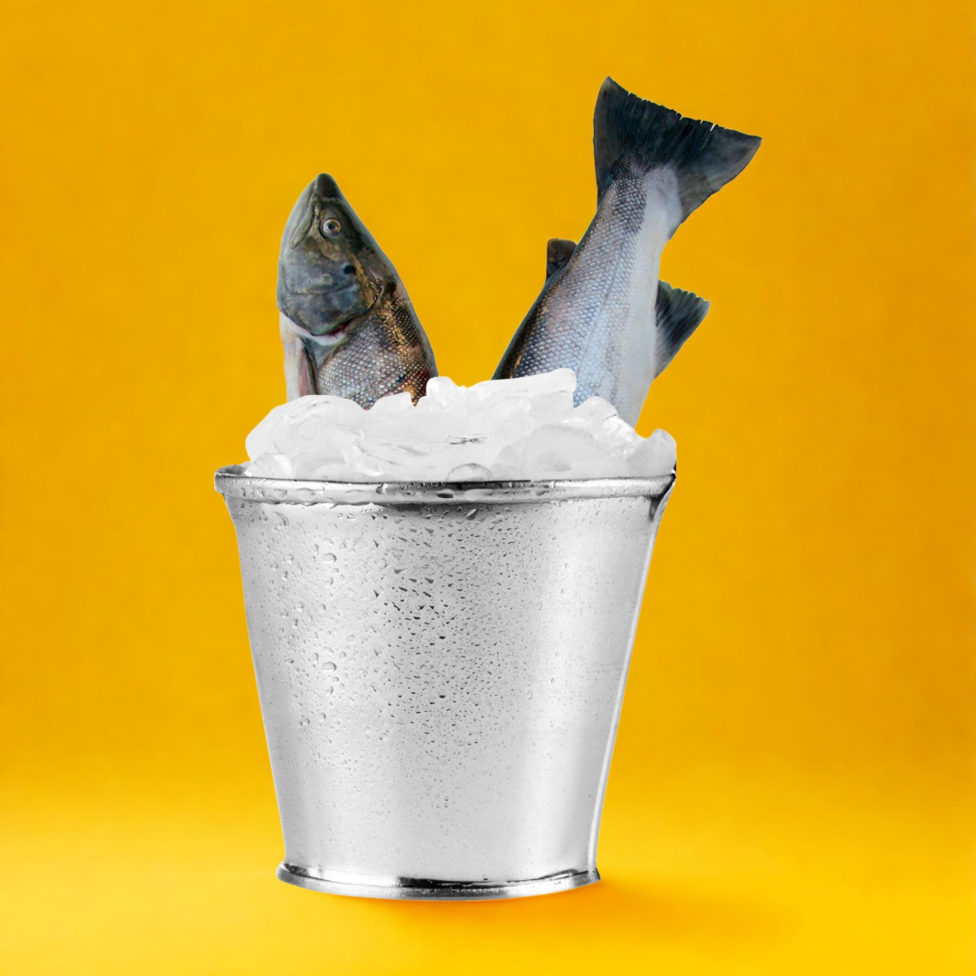 Frozen Packet Fish