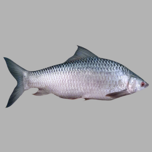 F-Whole Mrigel Fish Regular Cut $4.99/lbs Approximate 10 lbs