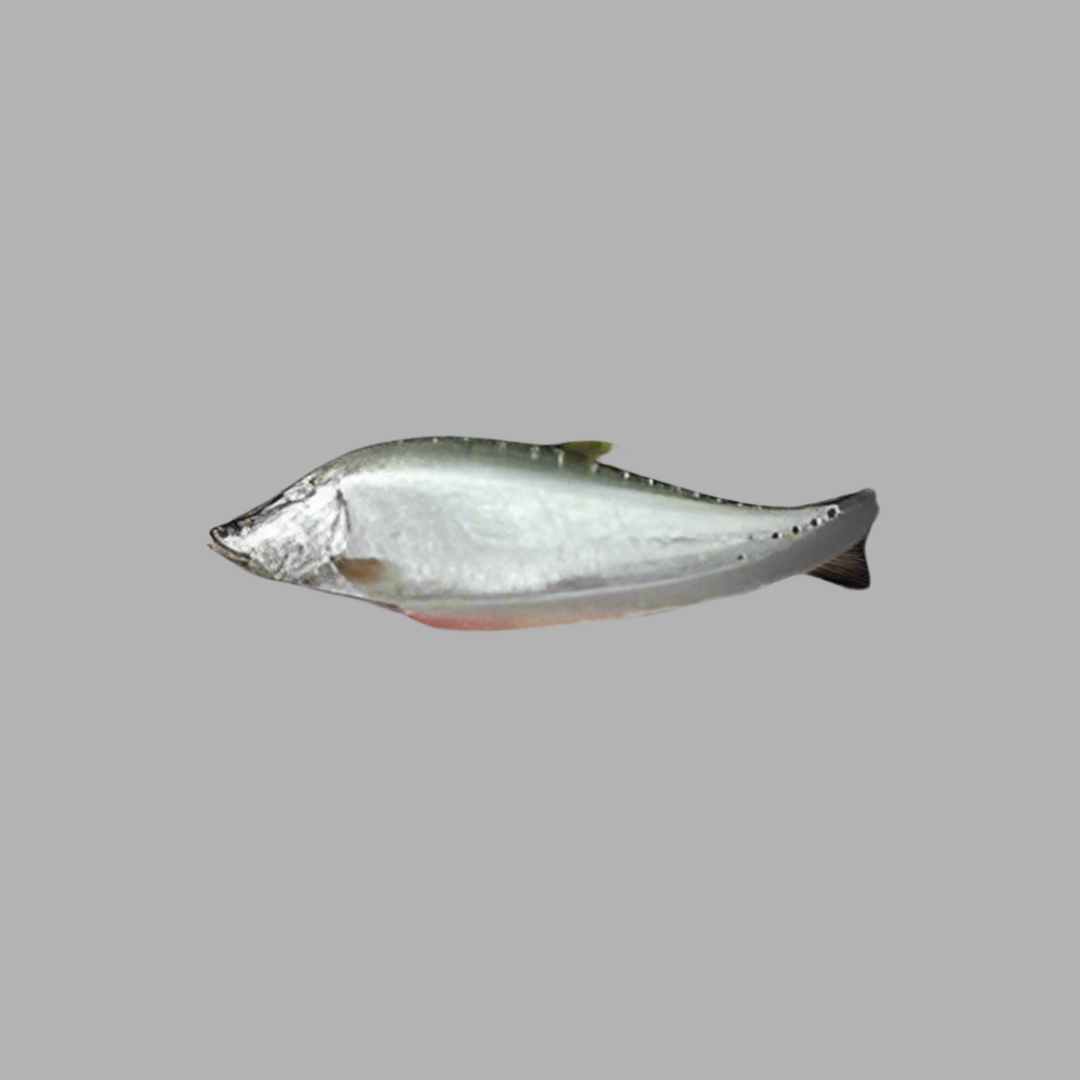 F-Whole Chitol Regular Cut $3.99/lbs Approximate 7 lbs