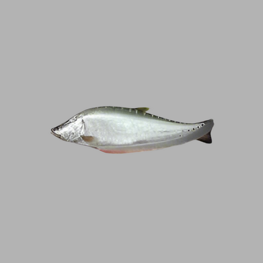 F-Whole Chitol Regular Cut $3.99/lbs Approximate 7 lbs