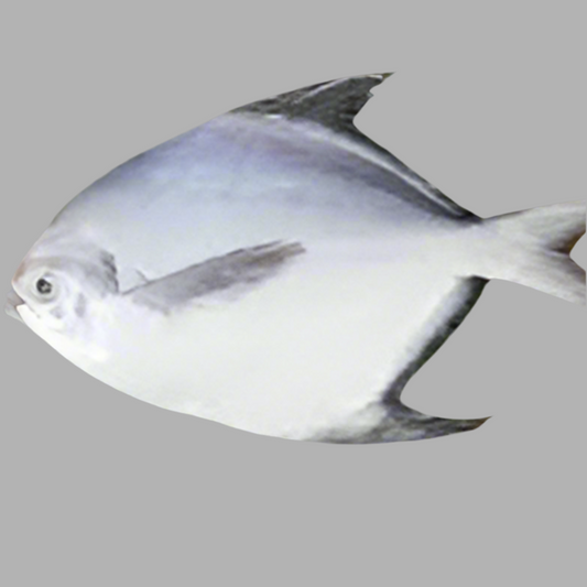 F-Rupchada Fish Small $8.99/lbs