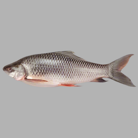 F-Whole Ruhu Fish Regular Cut $3.49/lbs Approximate 10 lbs
